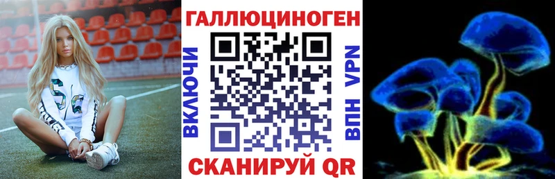 Купить закладки  Юрьев-Польский  Галлюциногенные грибы GOLDEN TEACHER 